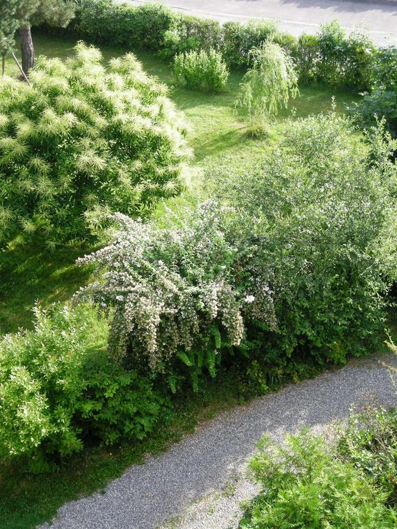 Aux Berges De La Thur Staffelfelden Екстер'єр фото